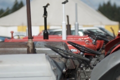 Events_Drymen_Show_1