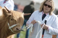 Events_Drymen_Show_2