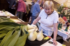 Events_Flower_Show_1